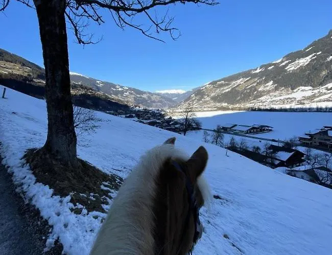 Rauch Mathilde * 슈벤다우