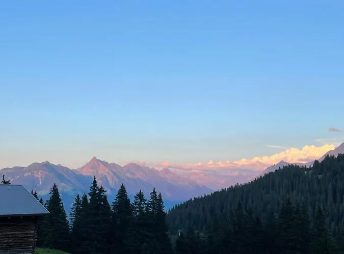 아파트 Rauch Mathilde *